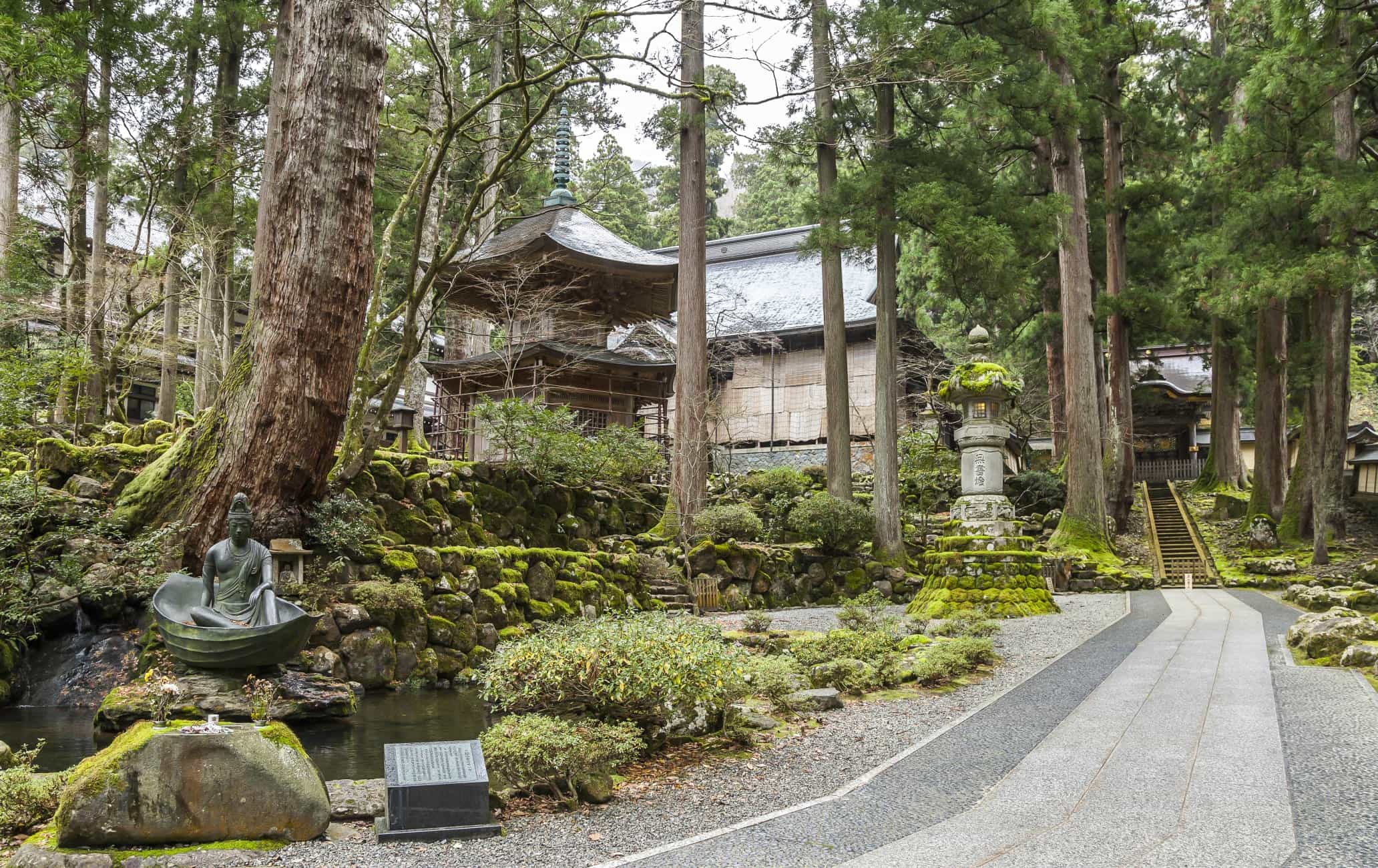 福井深度
